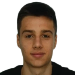 Ilia Gruev