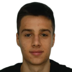 Ilia Gruev