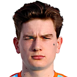 Tom van de Looi
