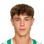 Ermin Mahmic