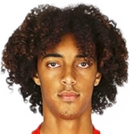 Tomás Tavares