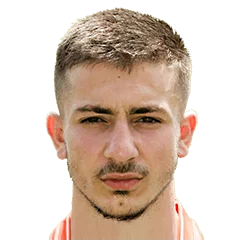 Halil Dervisoglu