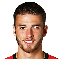 Wesley Hoedt